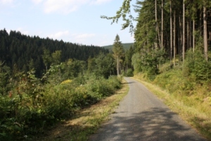 waldweg