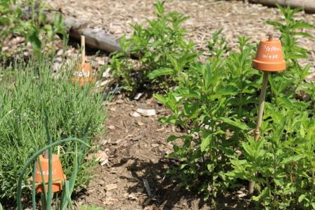 Bienentag an der Naturschutzstation (15.06.2019)